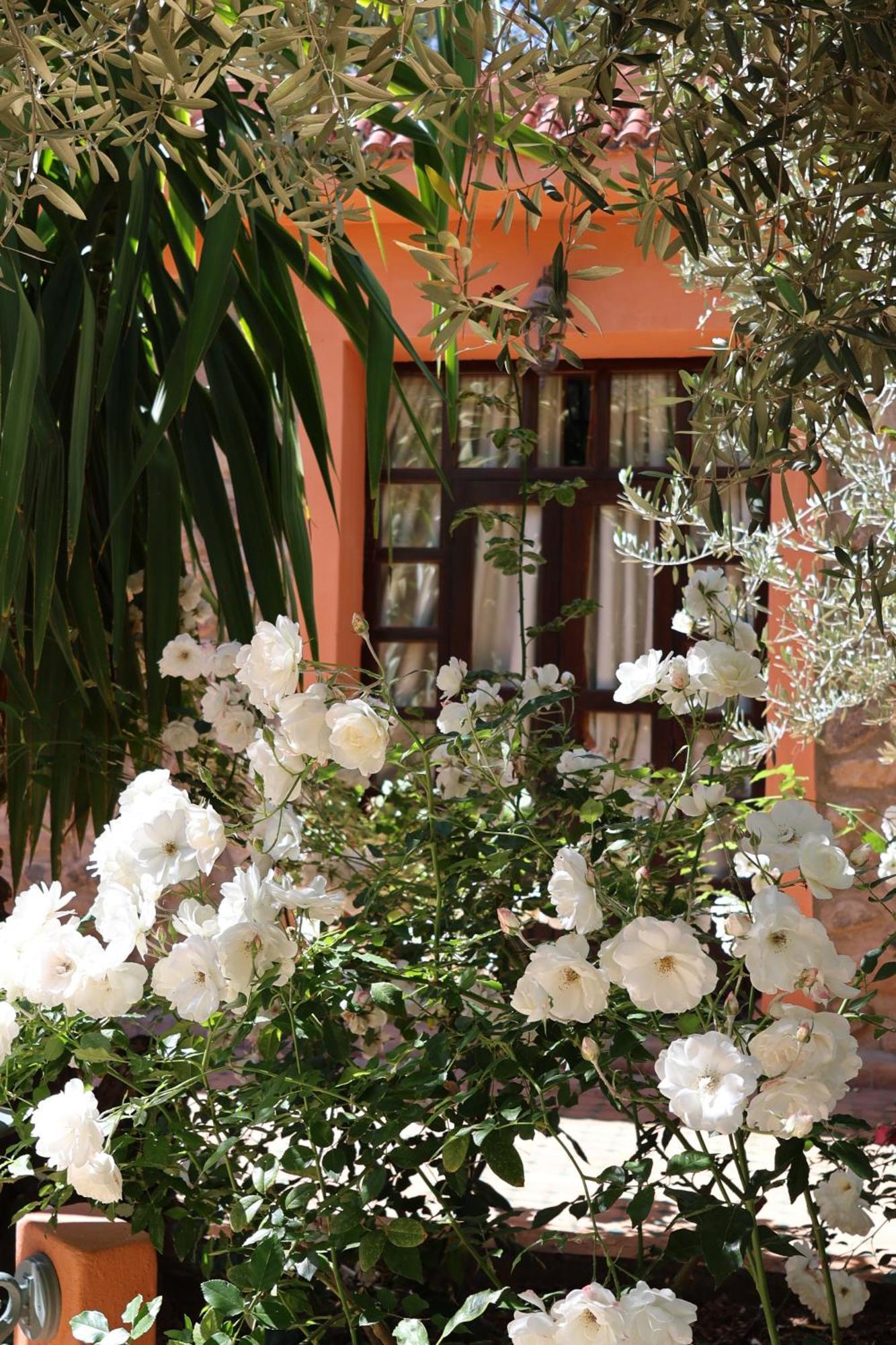 Domaine De La Roseraie Resort Ouirgane Εξωτερικό φωτογραφία
