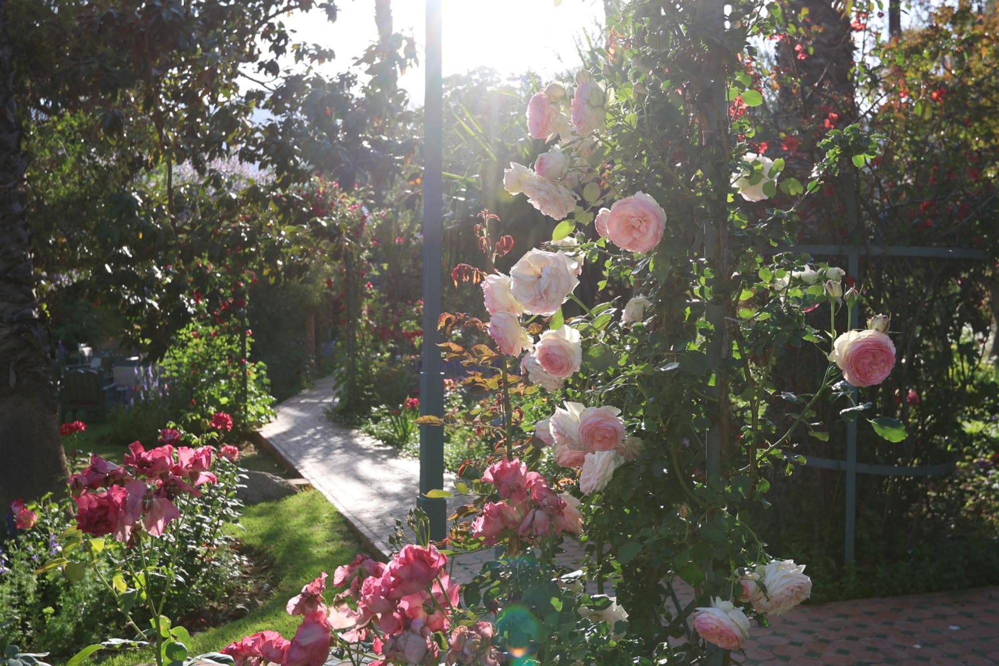 Domaine De La Roseraie Resort Ouirgane Εξωτερικό φωτογραφία