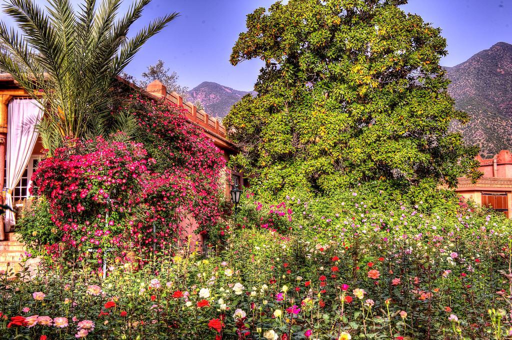 Domaine De La Roseraie Resort Ouirgane Εξωτερικό φωτογραφία